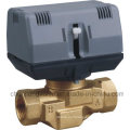 Brass Three-Wire Switch Type Electric Valve (CJ228)